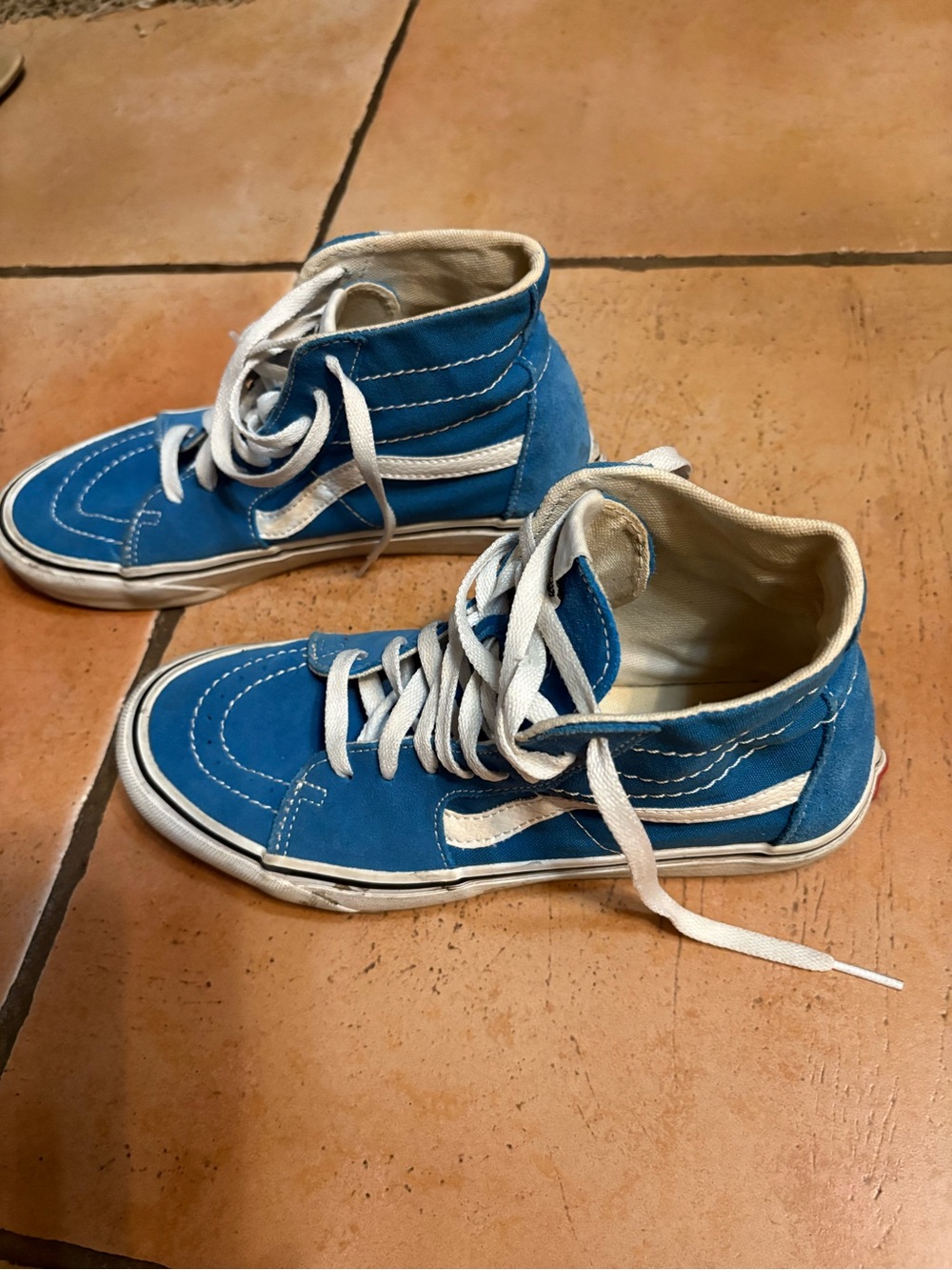Vans Blue Sk8-Hi Suede High-Top Sneakers
Mens 7, Women’s 8.5